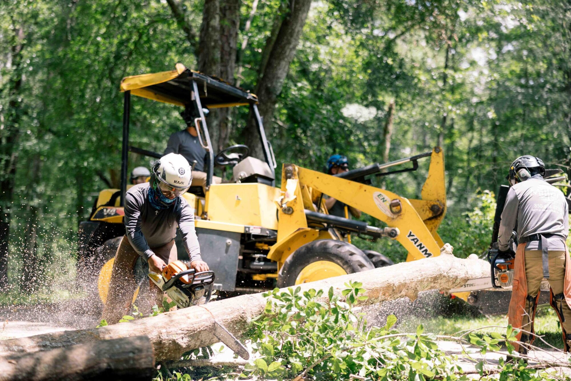 Selective tree and brush clearing for a builder's lot in Toronto