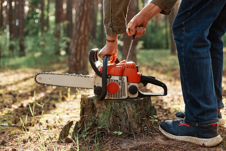 Toronto stump removal service leaving space for lawn and landscaping