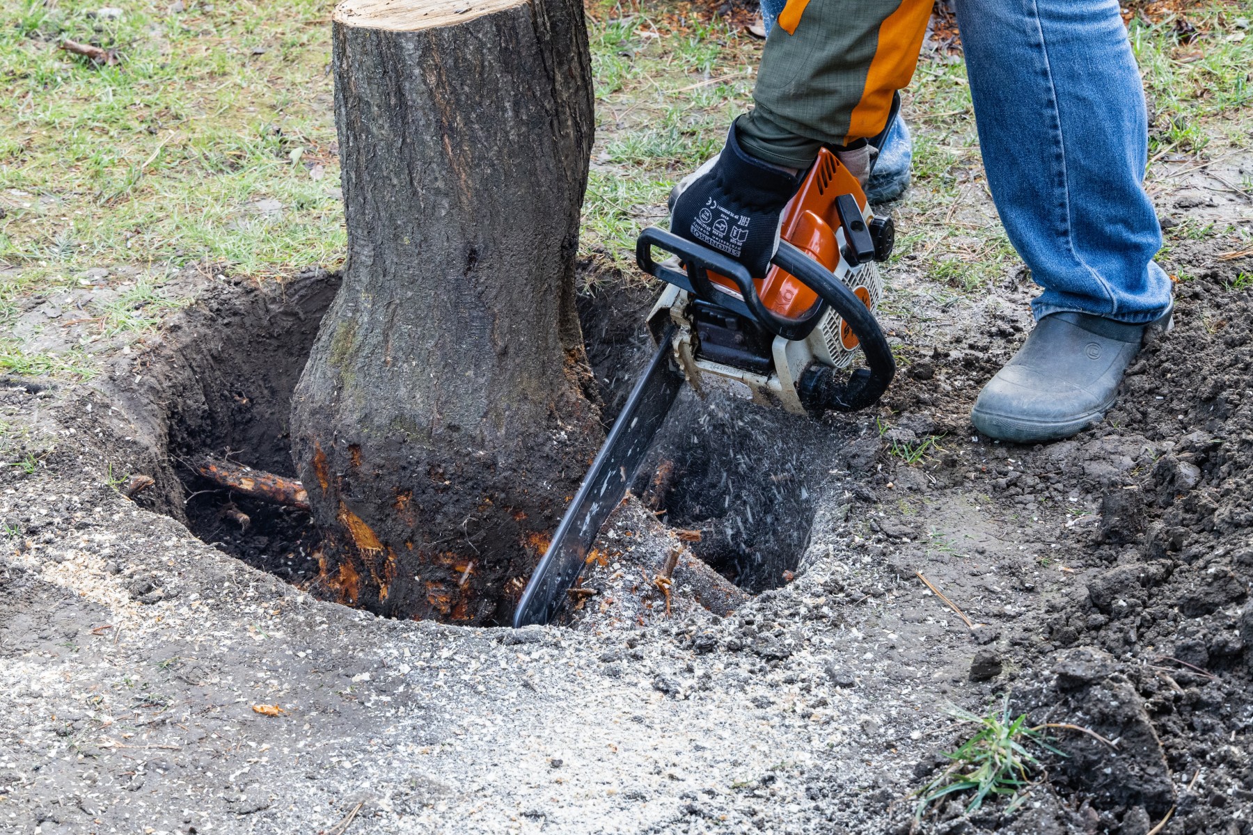 Professional stump grinding Toronto equipment working in a landscaped yard